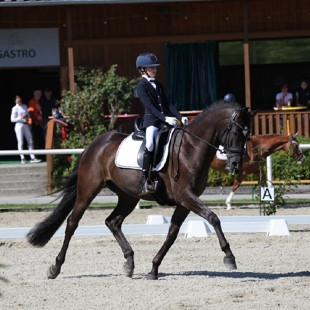 Fotografie Brunnmayr