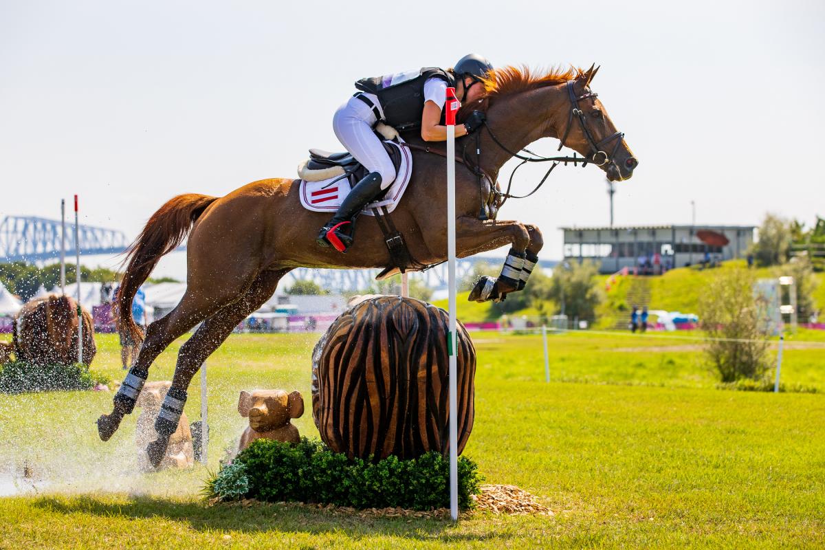 (c) Tomas Holcbecher