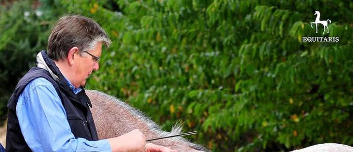 © Tanja Becker/Equitaris