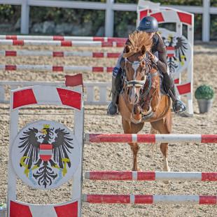 Privat Moser Spitzenstätter Ludwig